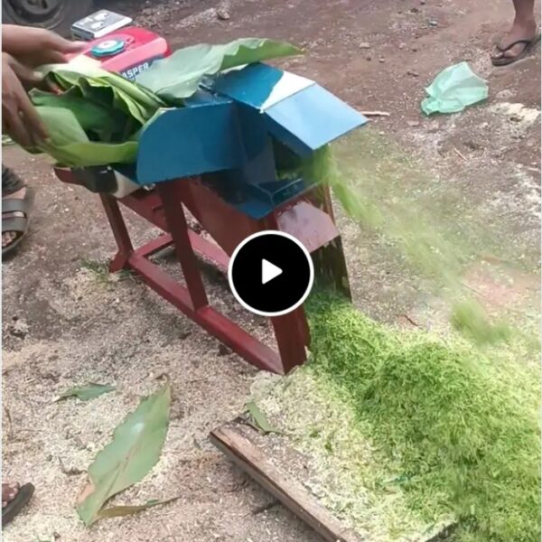 promo ramadhan MESIN PENCACAH RUMPUT/ MESIN PENCACAH/MESIN MULTIFUNGSI TERMURAH SEKOTAK MEDAN